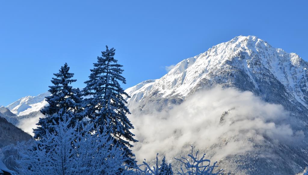 Auberge La Douce Montagne Allemont Luaran gambar